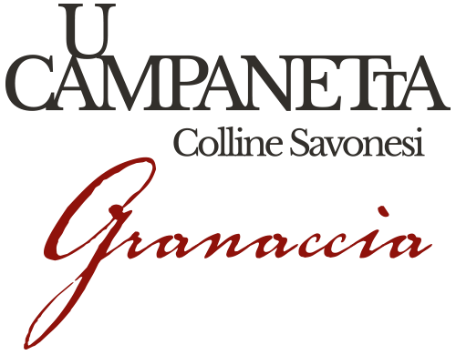 Granaccia U Campanetta - Gallizia 1250